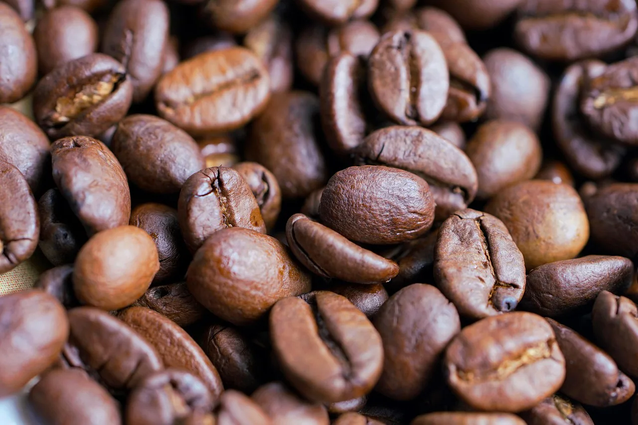 Roasted peaberry coffee beans with uniform oval shape