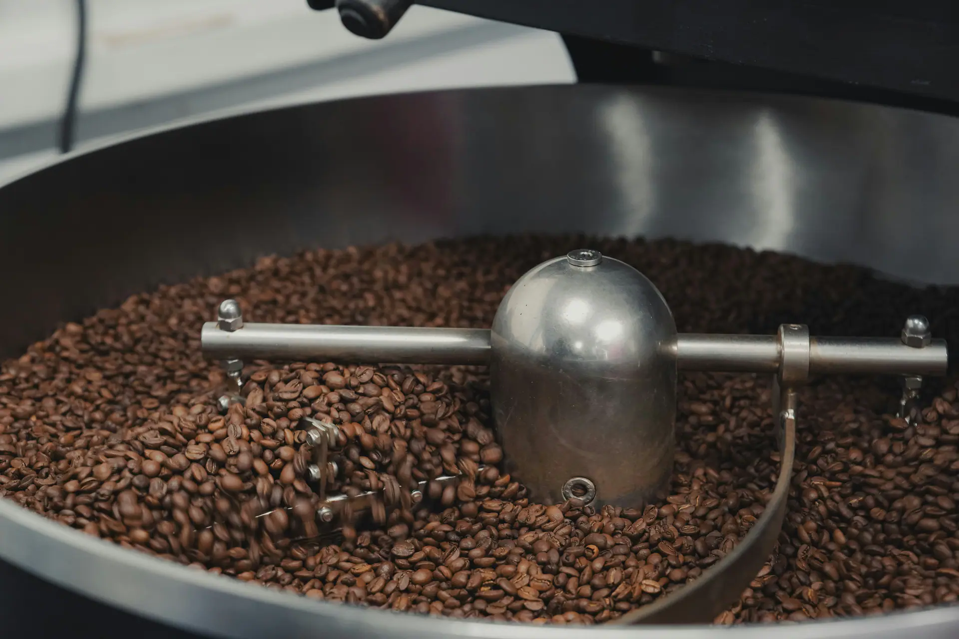 Green coffee being graded and hand-sorted